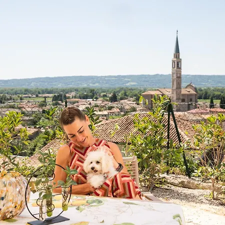 Apartment Il Pollaio