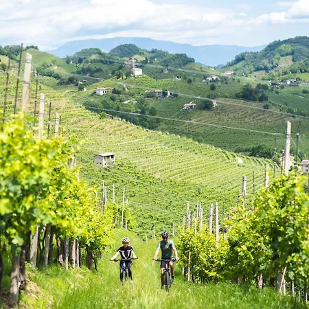 Il Pollaio Appartement