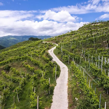 Appartamento Il Pollaio