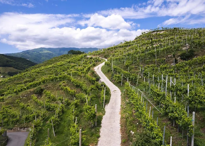 Lejlighed Il Pollaio